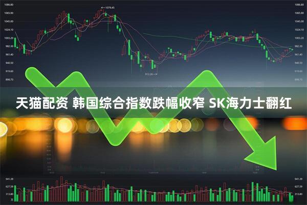 天猫配资 韩国综合指数跌幅收窄 SK海力士翻红