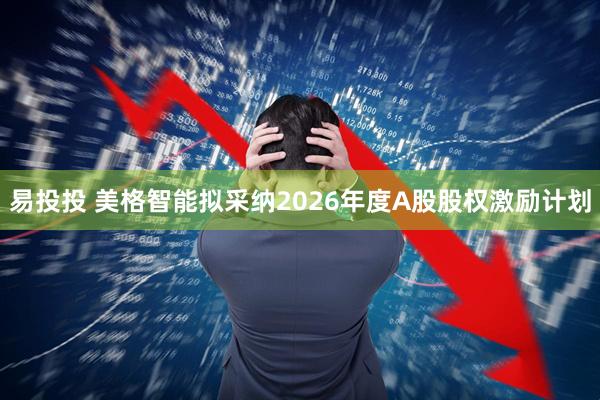 易投投 美格智能拟采纳2026年度A股股权激励计划