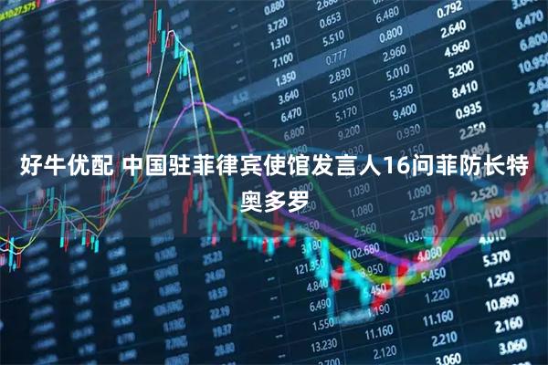 好牛优配 中国驻菲律宾使馆发言人16问菲防长特奥多罗