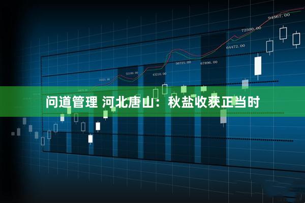 问道管理 河北唐山：秋盐收获正当时