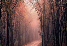 配资股网站:a股股票怎样加杠杆-美国人欢度劳动节之际警钟响起：超120万移民劳动力大军消失！